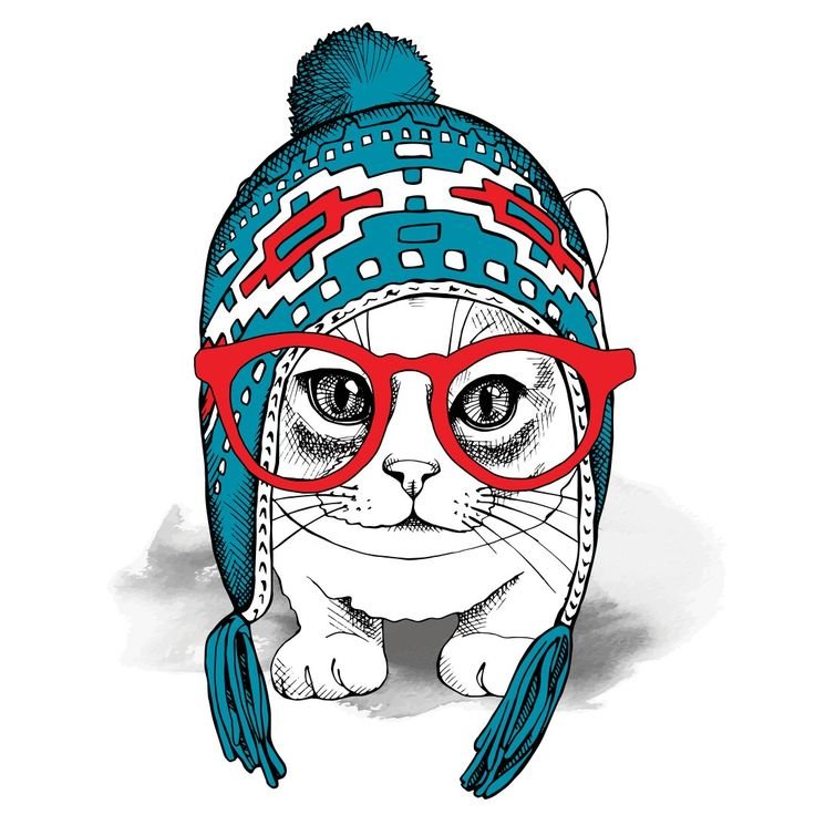Рисунки милых котиков в шапочках