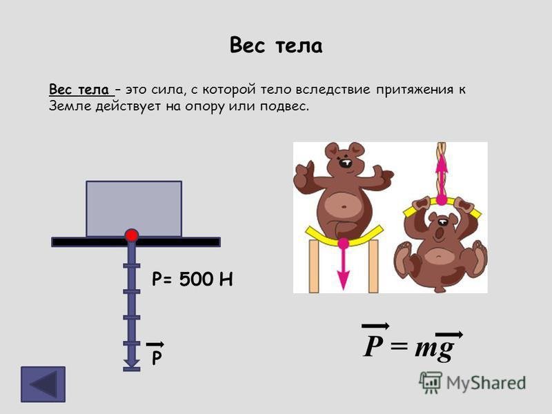 Вес тела рисунок