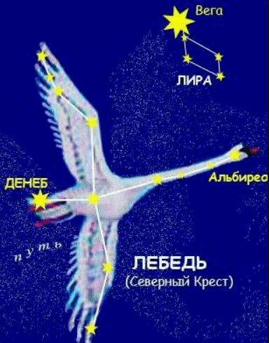 Астеризм созвездия лебедь