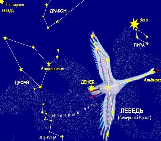Созвездие лебедь
