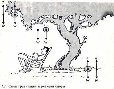 Сила тяготения рисунок