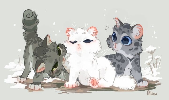 GRAYPILLOW коты Воители