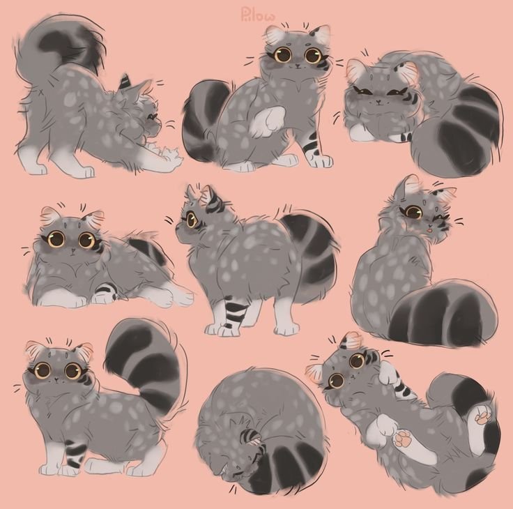 GRAYPILLOW коты Воители