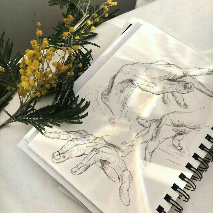 Рисование Эстетика