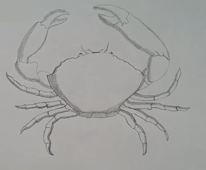 Рисунок краба пастелью