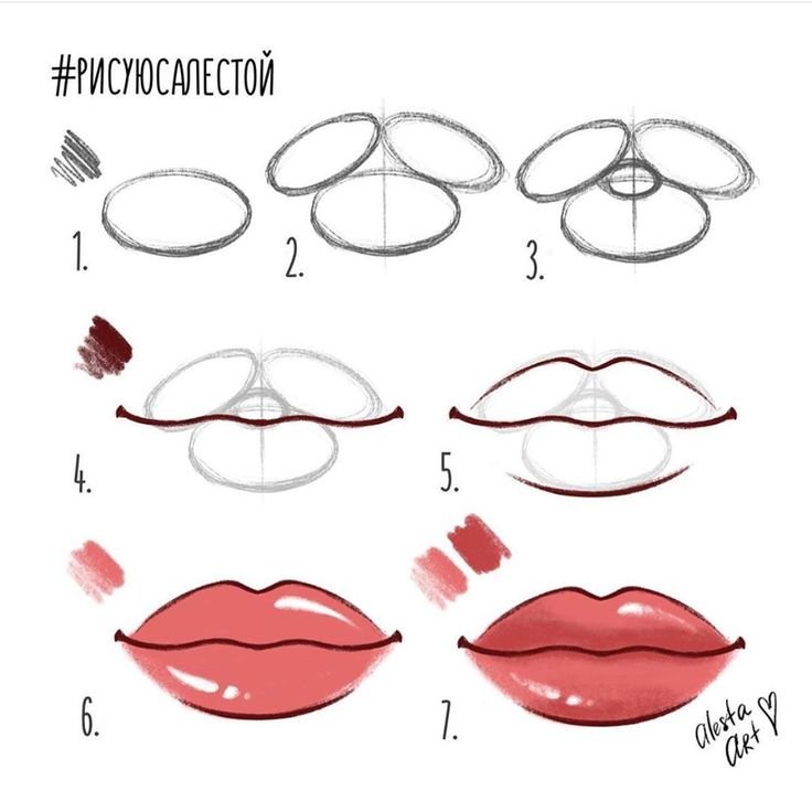 Поэтапные уроки рисования губы