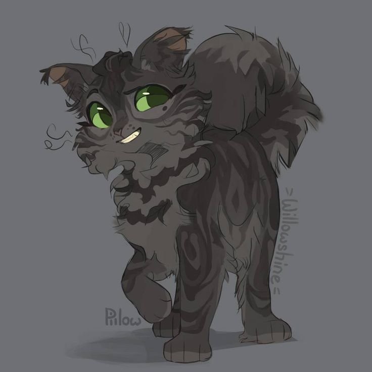 GRAYPILLOW коты Воители