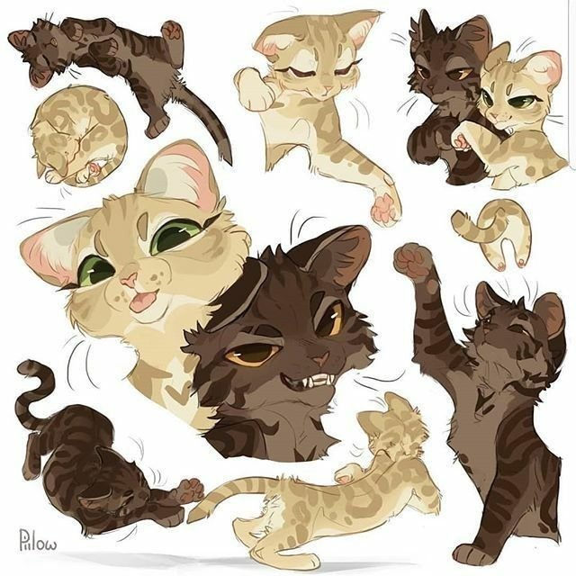 Коты Воители Песчаная буря
