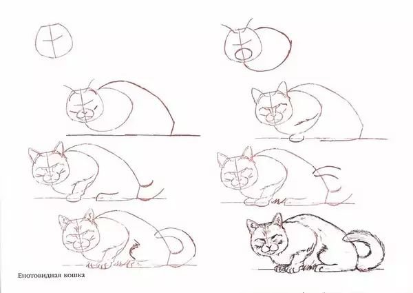 Рисунки котов карандашом