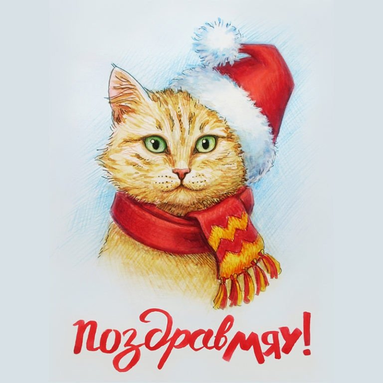 Новогодние котята