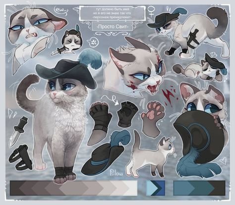 GRAYPILLOW коты Воители
