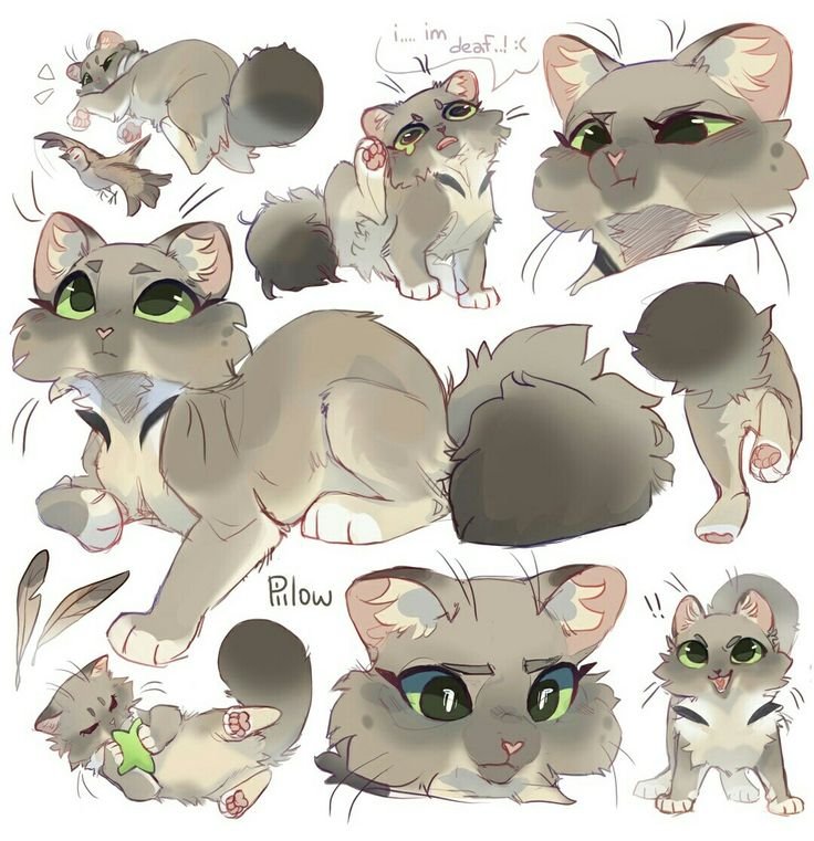 Коты Воители от GRAYPILLOW