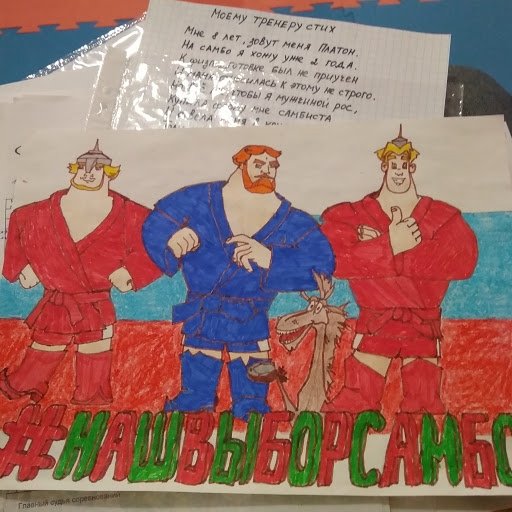 Самбо рисунок