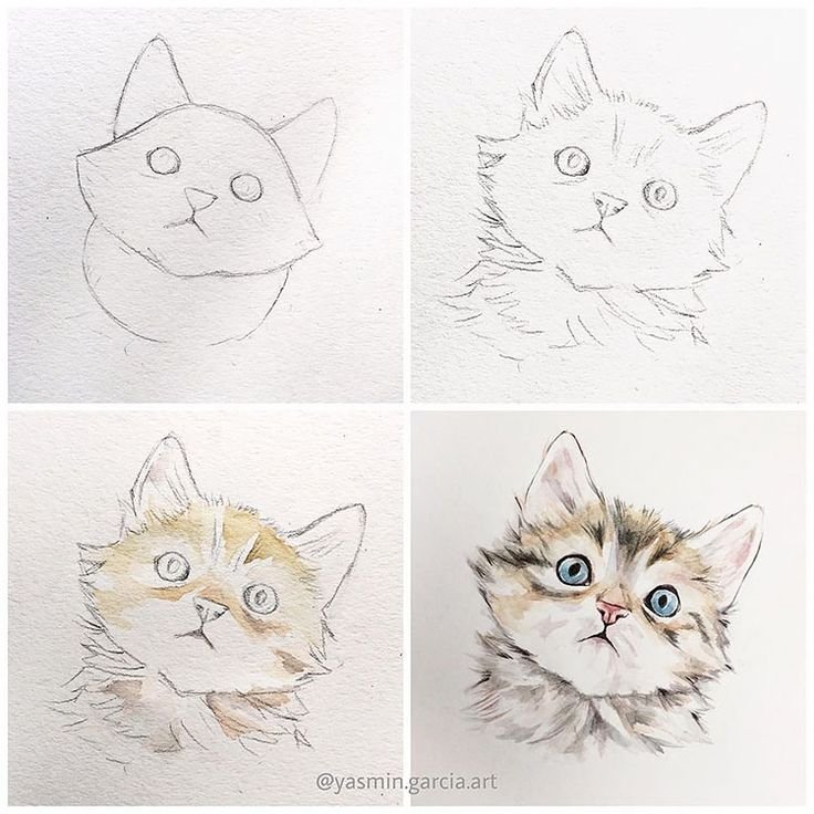 Кот акварельными карандашами