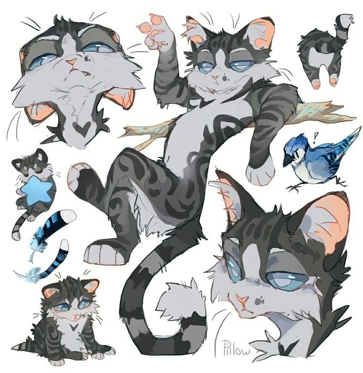 Грей Пиллоу коты Воители