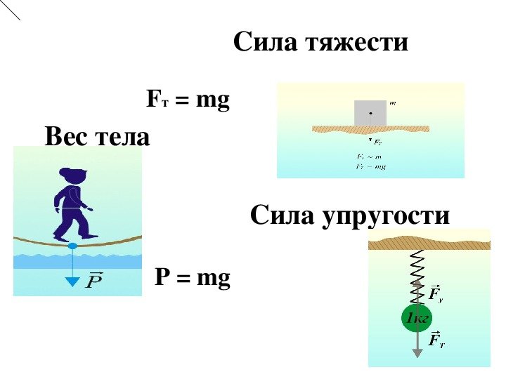 Сила тяжести и вес 7 класс физика
