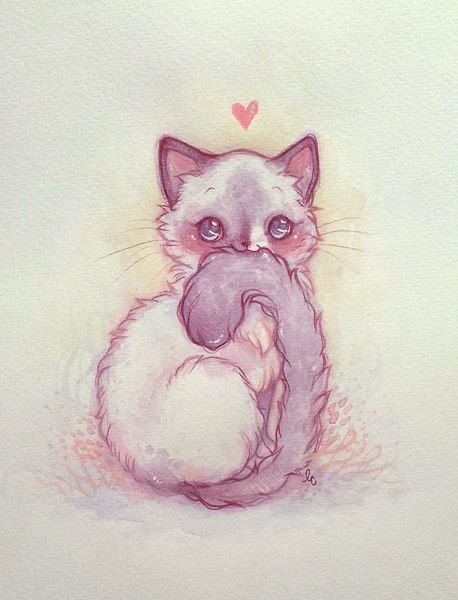 Рисунки для срисовки котики