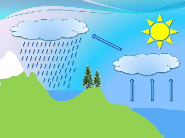 Круговорот воды