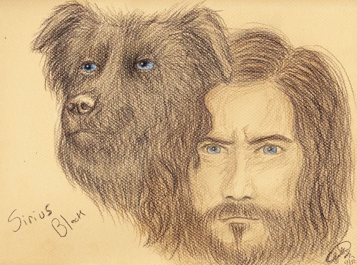Сириус Блэк рисунок