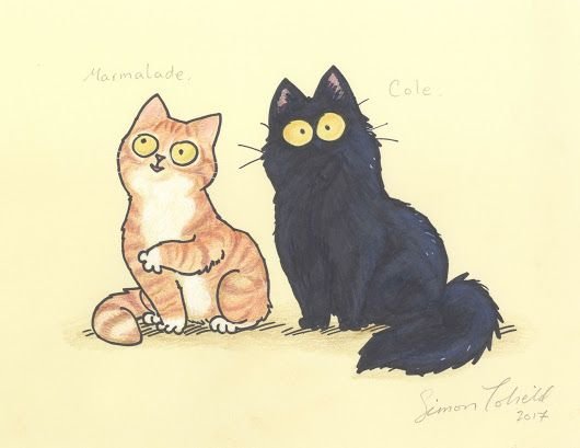 Котик рисунок