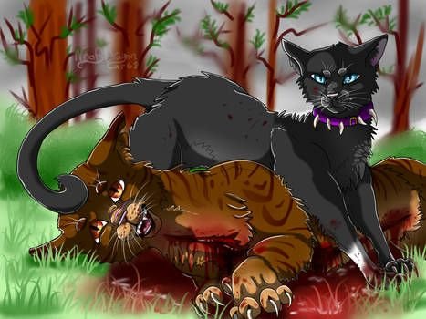 Коты Воители смерть Звездоцапа