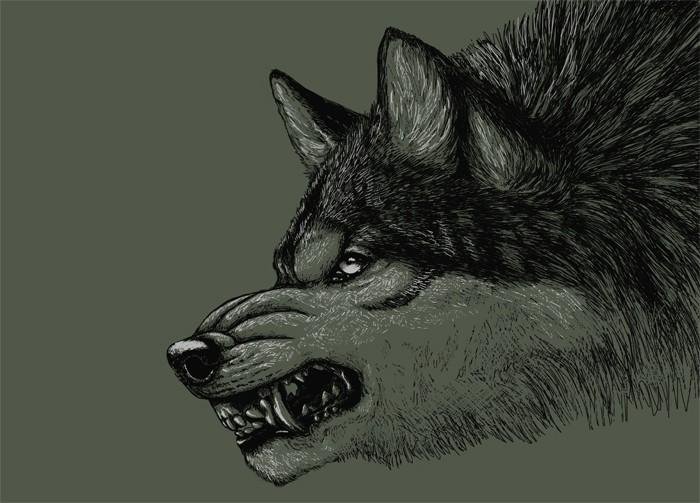 Волк арт рычит