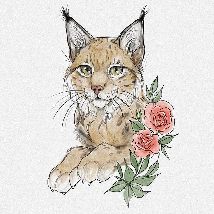 Эскиз котика