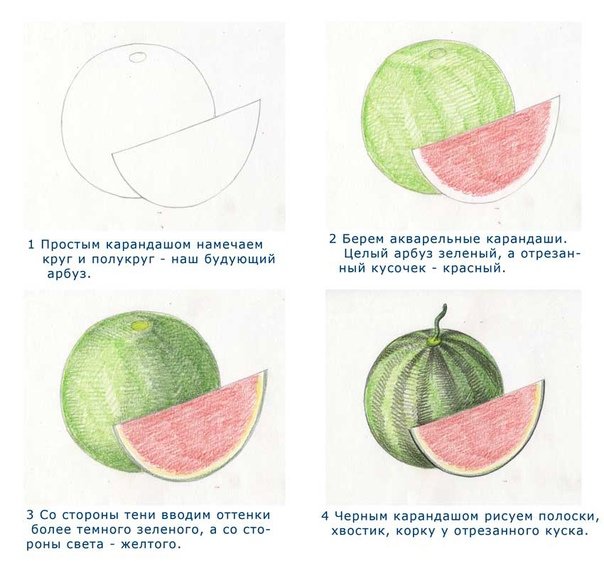 Пошаговое рисование фруктов