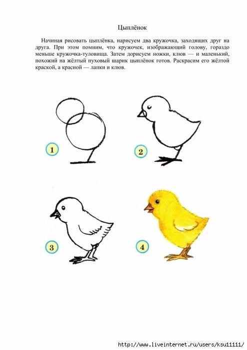 Рисование птиц для детей