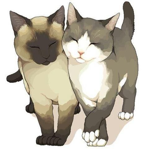 Кот и кошка арт