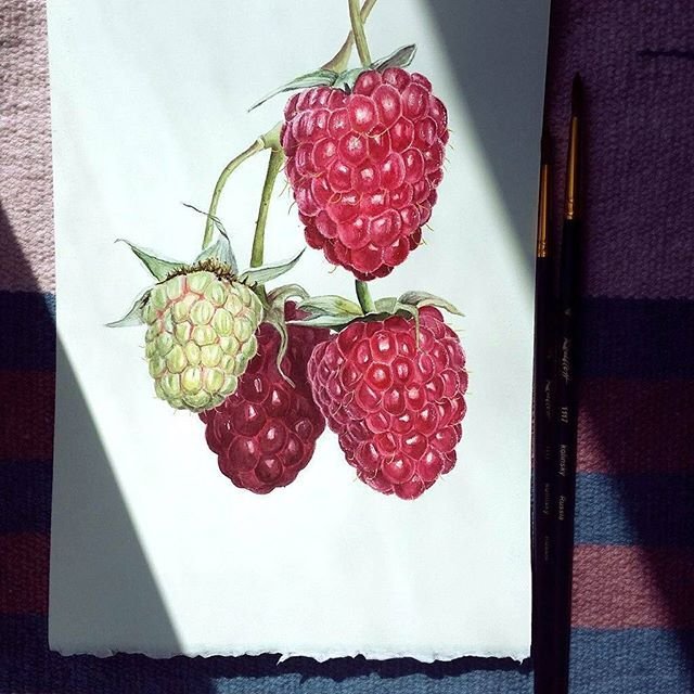 Малина