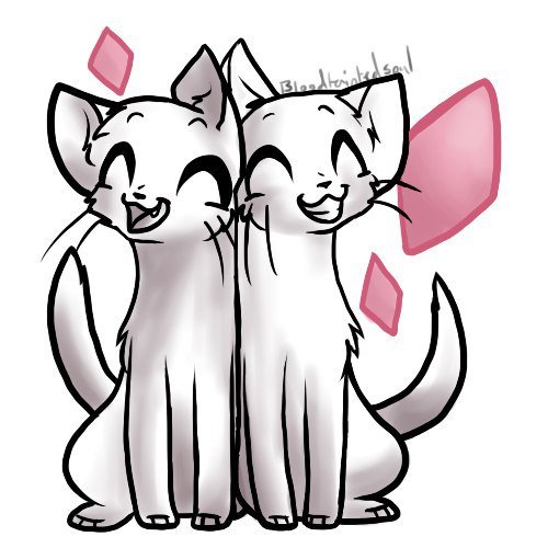 Коты Воители лайны друзья
