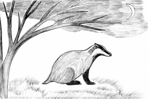 К. Паустовский "барсучий нос"