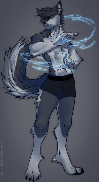 Фурри angiewolf