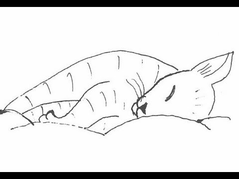 Спящий кот рисунок карандашом