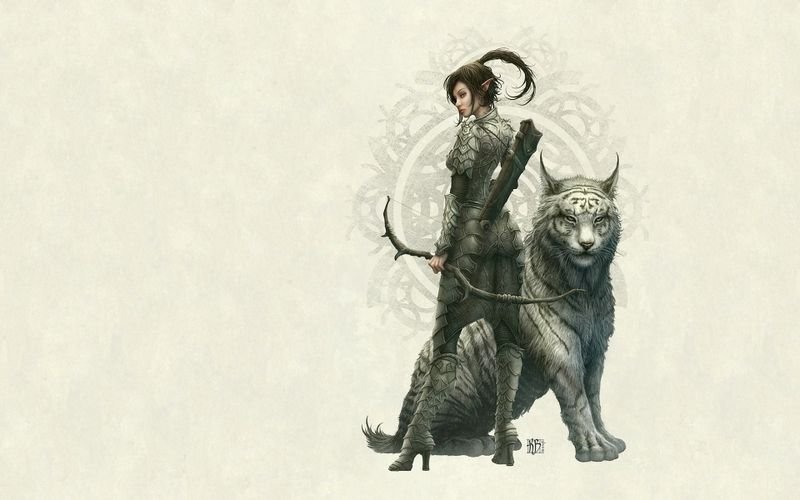 Кот Эльф