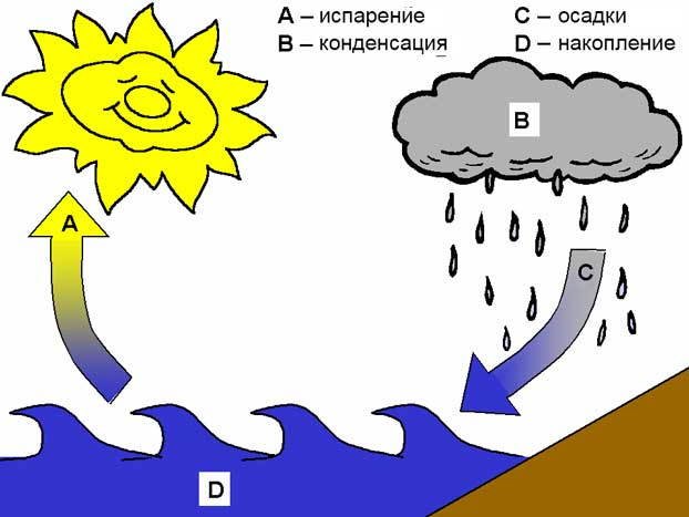 Круговорот воды в природе