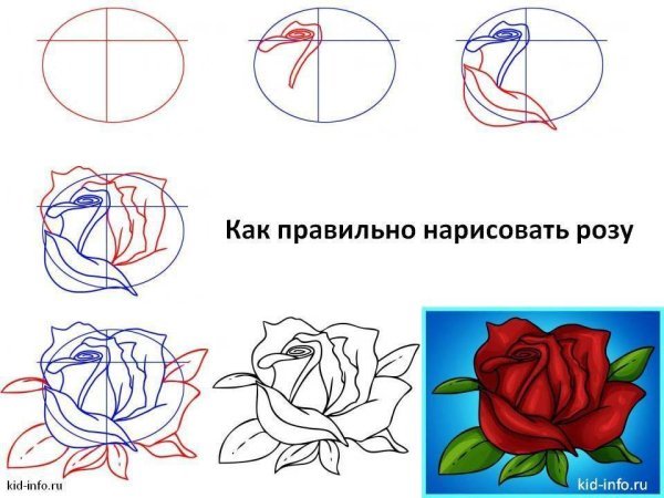 Роза простой поэтапно для начинающих