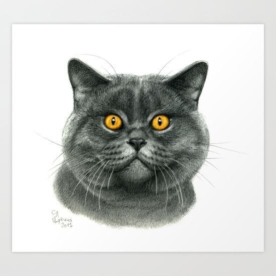 Портрет кота