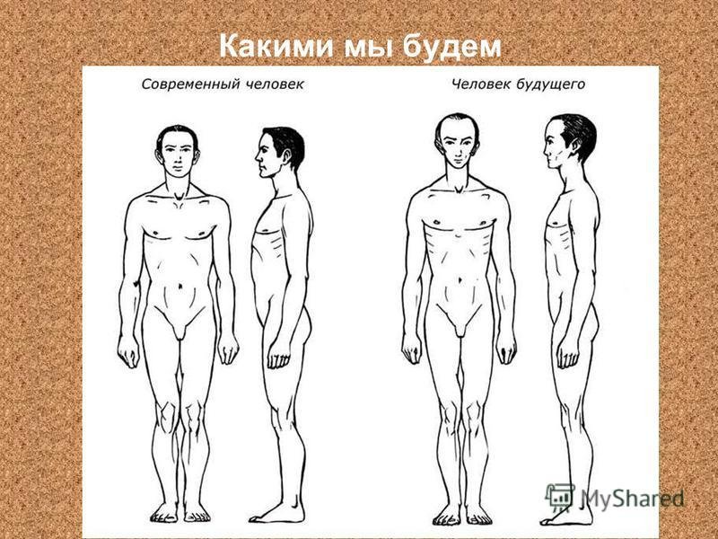 Человек будущего рисунок