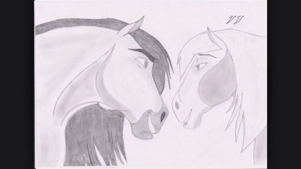 Лошадь рисунок карандашом
