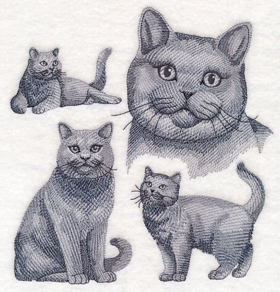 Кошка рисунок