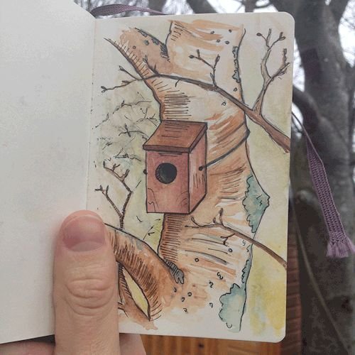 Скворечник рисунок