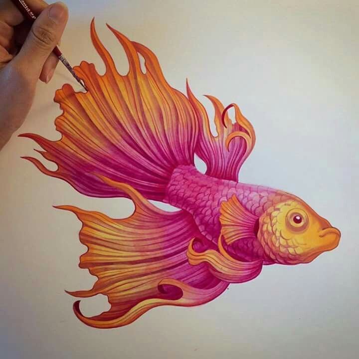 Красивые рыбки