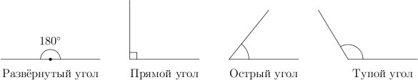 Развернутый угол тупой угол острый угол