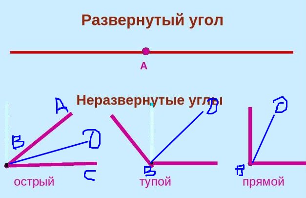 Неразвернутый угол