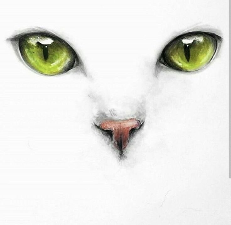 Глаза кошки нарисовать