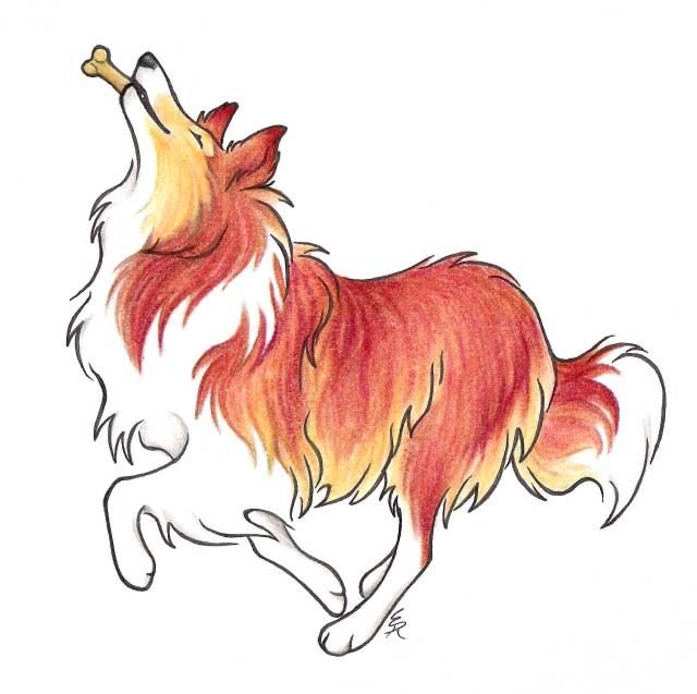 Колли нарисовать