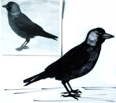 Нарисовать галку