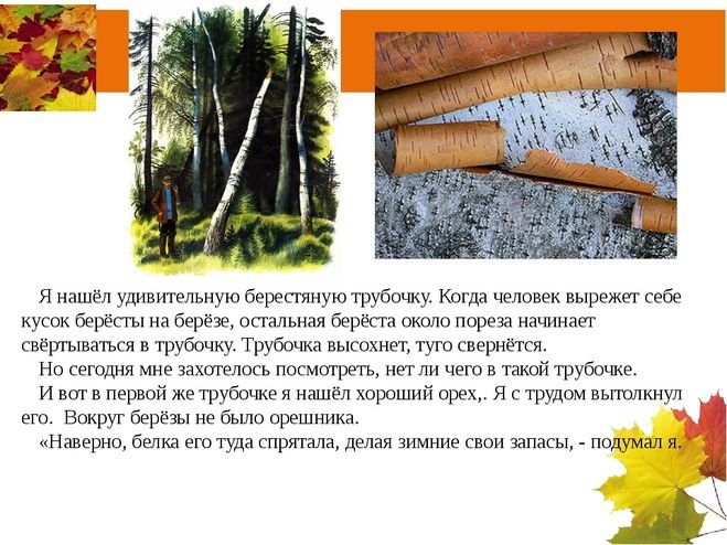 Рассказ берестяная трубочка пришвин